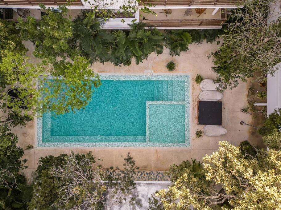 Apartment In Tulum, Pool, Jacuzzi, 3 Beds Tulum